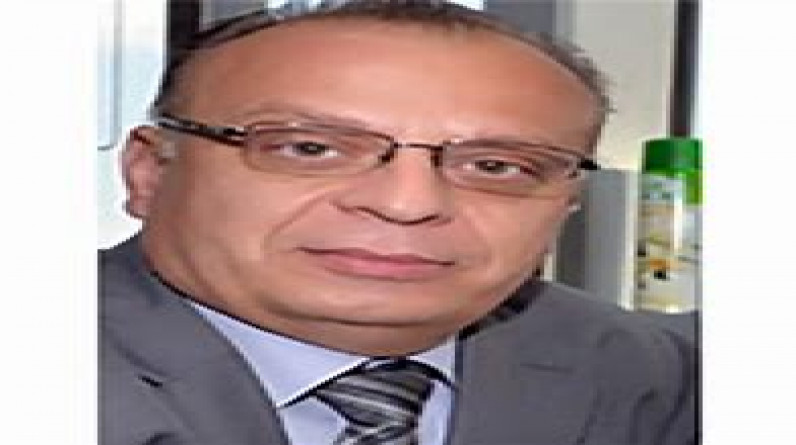 حسام ميرو يكتب:مصير القاعدة بعد افغانستان
