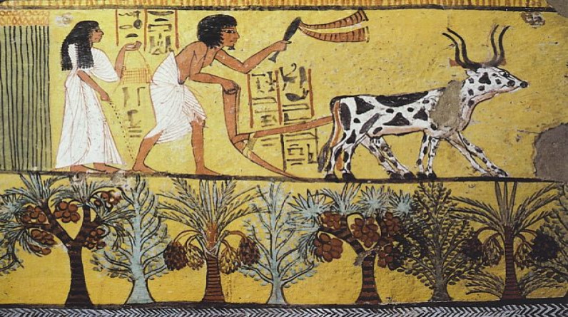 من تاريخ الموائد.. ماذا كان يأكل المصريون القدماء؟