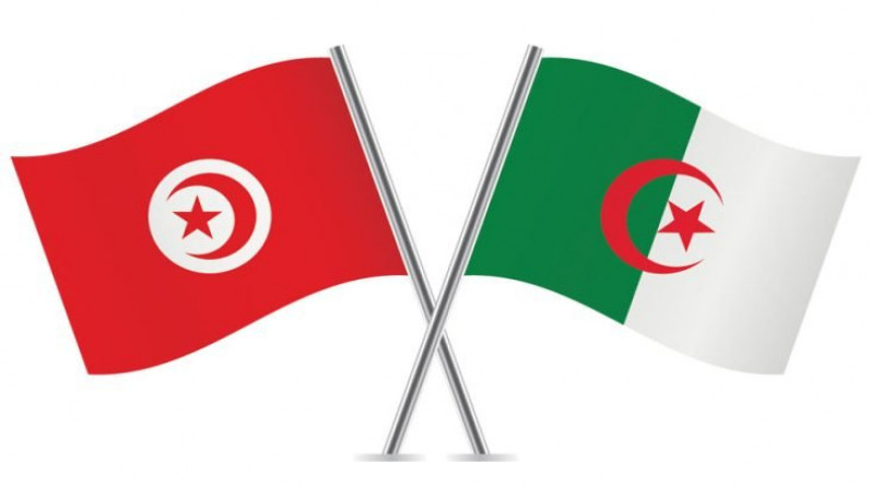 نزار بولحية يكتب: الجدل حول شكل العلاقات التونسية الجزائرية